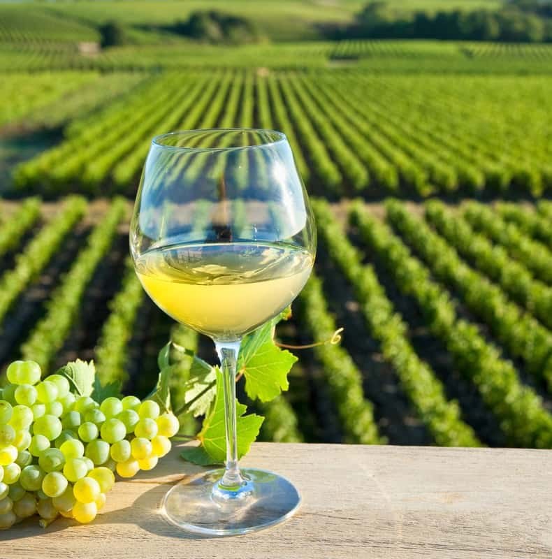 From Tours: Loire Valley Wineries Day Trip with Tastings