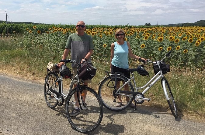 Vineyard cycle tours in and around Chinon, in the Loire Valley