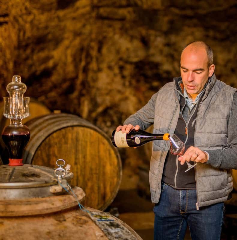 From Tours or Amboise: Loire Valley Wine Tour