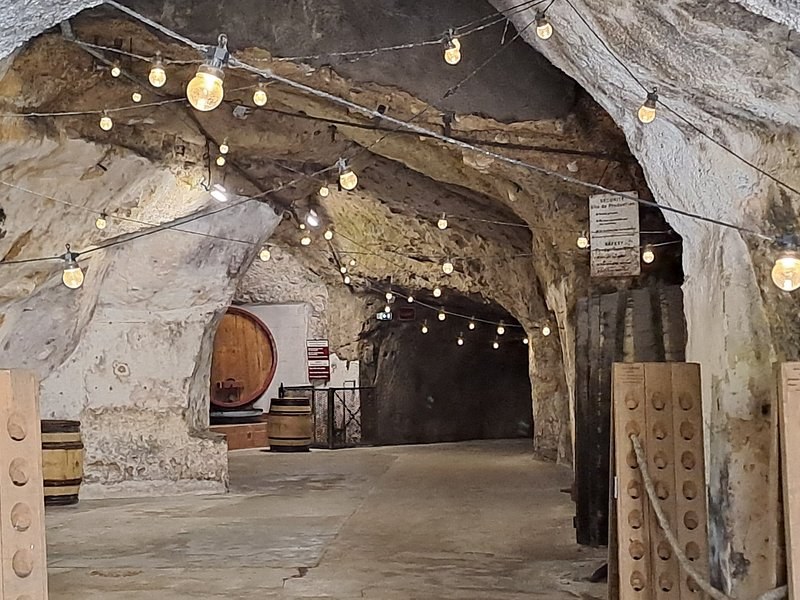 A wine cellar cut into pale tuffeau stone, barrels and strings of lights along the gallery