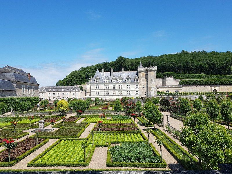 The kitchen garden of Villandry in geometric beds, the château behind