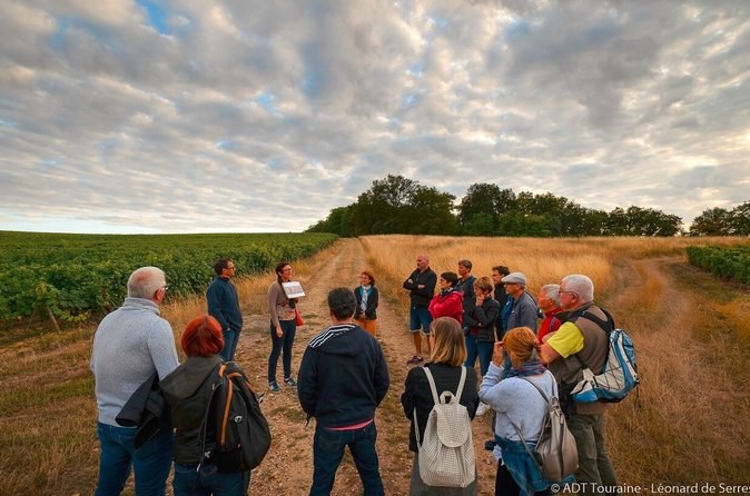 Tour of a Vineyard, Winery & Cellar with Wine Tasting in Vouvray, Loire Valley